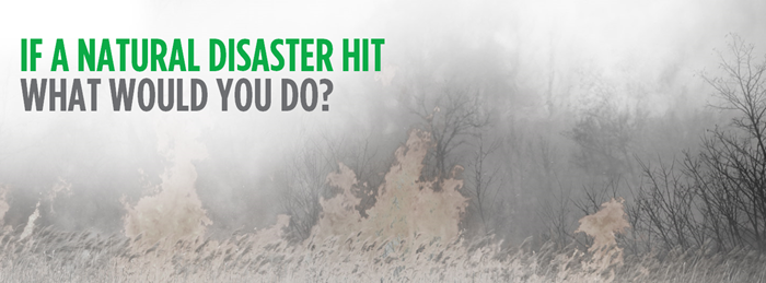 If a natural disaster hit what would you do?